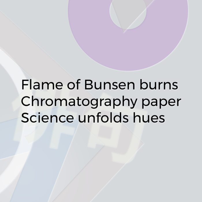 Flame of Bunsen burns Chromatography paper Science unfolds hues