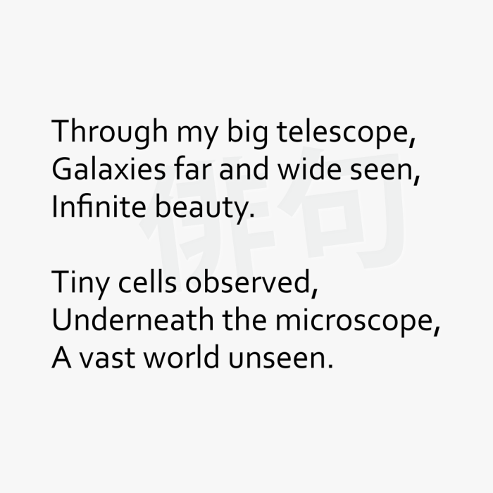 Through my big telescope, Galaxies far and wide seen, Infinite beauty. Tiny cells observed, Underneath the microscope, A vast world unseen.