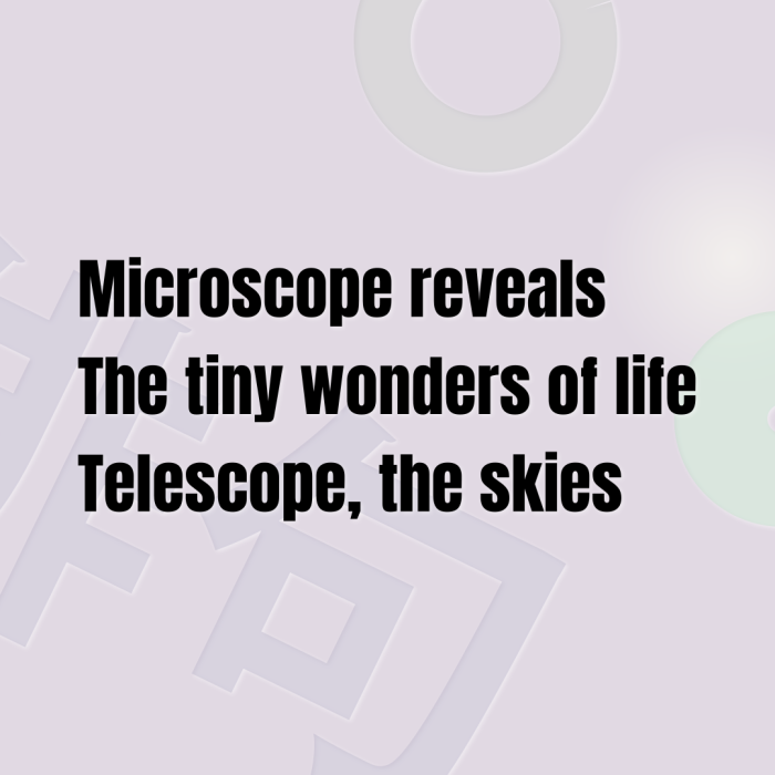 Microscope reveals The tiny wonders of life Telescope, the skies