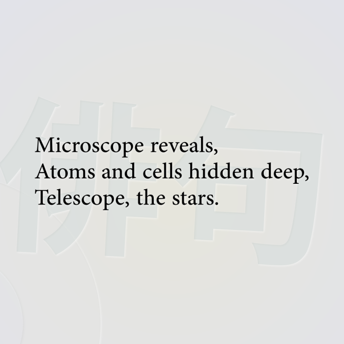 Microscope reveals, Atoms and cells hidden deep, Telescope, the stars.