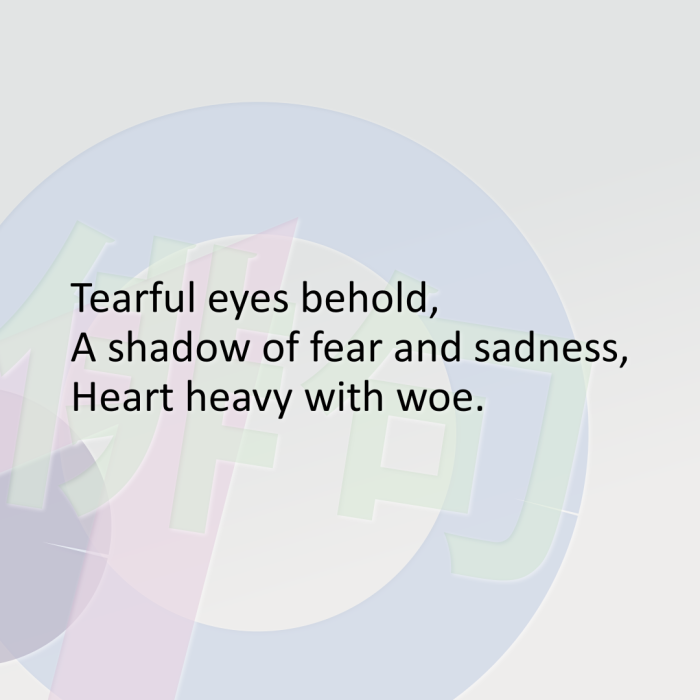 Tearful eyes behold, A shadow of fear and sadness, Heart heavy with woe.