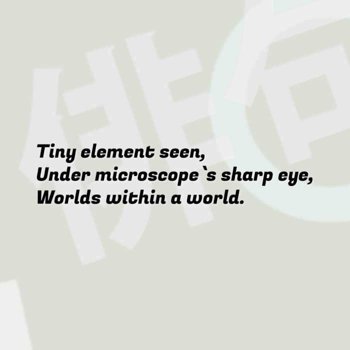 Tiny element seen, Under microscope`s sharp eye, Worlds within a world.