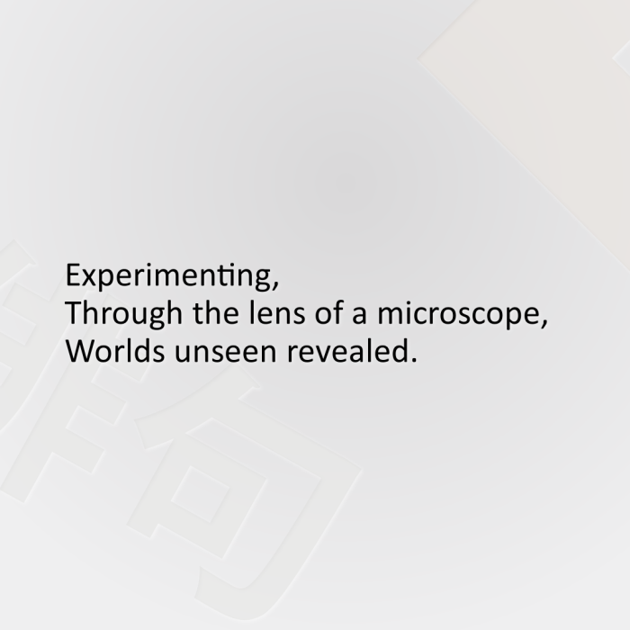 Experimenting, Through the lens of a microscope, Worlds unseen revealed.