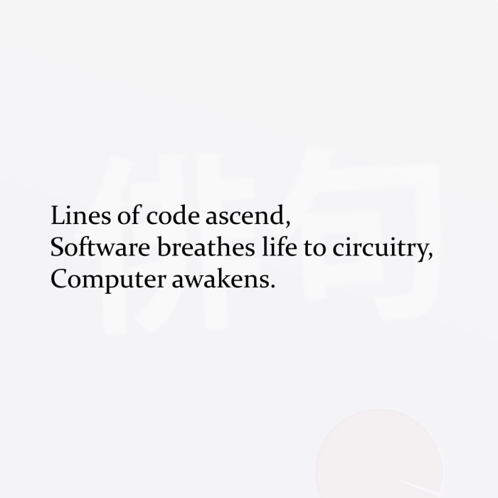 Lines of code ascend, Software breathes life to circuitry, Computer awakens.